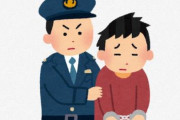 【悲報】チーさん、釈放当日に女子中学生に暴行して逮捕…
