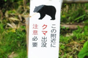 【登山】クマ対策で刃渡り30cmのナイフ持ってくのってあり？