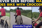 死んだクロコダイルをバイクに括り付け爆走する若者　SNSで動画が拡散し批判殺到（動画あり）