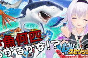 ガチャガチャ音鳴らしながら解説するピノ様草『ジョイコン持つんかこれ』