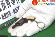 警察「銃刀法違反か！？...ってなんだそのオモチャの銃はw？」無職「うおおおおお！！！(パァン」