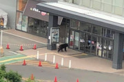 イオンで3日間ヒグマから逃げ切ったら100万円