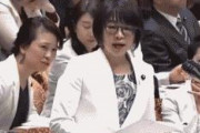 【政治】　立憲民主党 蓮舫 副代表 与党の憲法審査会の開催提案に不快感 「黙れ。今大事はコロナウイルスの協議徹底です。」