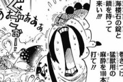 【悲報】ONE PIECEさん、モブキャラにとんでもない武器を使わせていたｗｗｗ