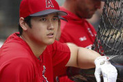 【海外の反応】大谷のホームランボールをキャッチした人物【MLB】