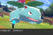 ポケモン剣盾にフシギダネ～フシギバナ居ないって聞いて買わなかったけど