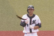 ロッテ安田尚憲(21) .224(335-75) 6本 48打点 88三振 OPS.665