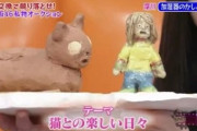 【乃木坂46】『猫との楽しい日々』て今どこにあるのかな・・・？
