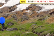 【動画】わざわざクマに近づいてスプレー噴射する日本人男性さん…