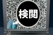 国民民主・小竹議員「自民党のSNS規制、憲法違反に当たるのでは？ファクトチェックを行政が行うならば本当に言論統制に捉えられかねない！」ｗｗｗｗｗｗｗｗｗｗｗｗｗｗ