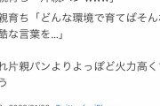 片親育ち「片親パンｗｗｗ」両親育ち「どんな環境で育てばそんな残酷な言葉が思い浮かぶんだろう…」