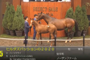 【セレクトセール】ヒルダズパッションの2020を3億8千万円で、シーヴの2020を2億1千万円で落札