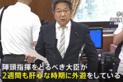 【パヨ悲報】マイナ問題のボーナスチャンス到来も→立憲・杉尾「総点検中の外遊は無責任！」批判ポイントを間違える