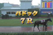 浦和競馬　７レース以降の悪天候の為中止