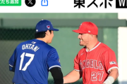 【悲報】トラウト「世界一獲った大谷を見るのが辛い」