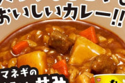 「カレーメシ」の感想を正直に書いてみろ