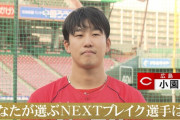 カープ選手が選ぶNEXTブレイク選手！小園「ヤクルト奥川」 栗林「同期の小林」 誠也「中日石川」 菊池「松山竜平」 阪神近本は「宇草」【100人分の1位番外編】