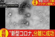 【速報】コロナ対策が遂に発見される