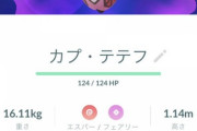 【ポケモンGO】実装初日にレイド100回！まだこんなガチ勢いるのか！？