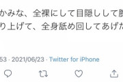 【炎上】ウマ娘クリエイターさん、高橋みなみにセクハラツイートし炎上ｗｗｗｗｗｗ