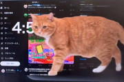海外「会社に導入しよう」日本の開発者が作った“猫が居座るアプリ”が話題に（海外の反応）
