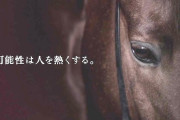 2011年のJRA-CMのキャッチコピーが秀逸過ぎる件