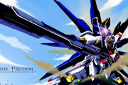 「ガンダムSEED DESTINY」叩いてる連中もなんだかんだでストライクフリーダムが出てきた時は盛り上がっちゃったんだろ？