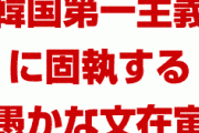 米国「文在寅は愚かだ。韓国第一主義に固執している。GSOMIA破棄は衆愚政治だ」　どうすんのこれ…