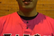 DeNA育成ドラフト4位渡辺明貴投手まとめ　  188cm/105kgの恵体から最速152キロを投げる剛腕リリーバー　在学中に独立入団、韓国でもプレーするなど異色の経歴