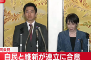 自民･維新､物価高対策の国民一律2万円給付は見送りで合意