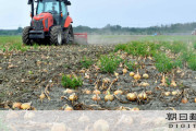 【岡山】タマネギ180トン、畑で廃棄「最高の出来栄えなのに...表現できない悔しさ」 過去にない下落率 ★2  [ばーど★]