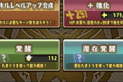 【パズドラ】みんなスーパーノエル何体集めたか順番に発表しろ！
