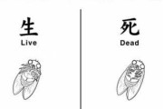 【虫話注意】玄関の扉を開けたら、セミの亡骸が落ちていたわ