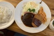 【画像】このランチ(税込480円)をやってる店が近所にできたら通う？