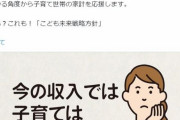 韓国人の反応「とうとう岸田さん　国民をげする・・日本人の反応にコメント」→支持率低いの？
