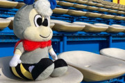 アビスパ福岡が新マスコットは「スビーくん」に決定！アビーくん＆ビビーちゃんの子供