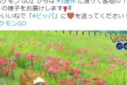 【ポケモンGO】ビッパイベントのフラグが立つ…ナイアンのビッパ好きは異常