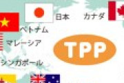 中国「まじでTPPに入りたいから正式に申請したわｗ」