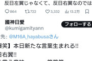 矛盾に気づかない　～　パさん「日本をダメにしているのは、反日左翼じゃなくて、反日右翼なのでは？」