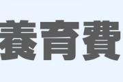 養育費の支払いが決定してしまいました　詳しくは書けませんが公務員のため未払いだと差し押さえなどされそうです　回避できますか？