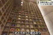 有名建築家「子供のためにオシャレな図書館作ったぞ！」　子供「なんでこんなん作ったの？」