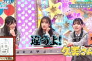 【日向坂46】なっちょ×くみてんのこの掛け合いwwww