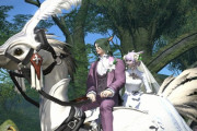 【FF14】エタバンチョコボさん、一部ユーザーの間で邪魔者扱いされてしまう　その理由がコチラ・・・