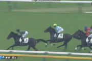 新馬戦で、あ、コイツは大物だわ、と思った馬