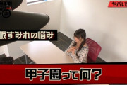 【画像】声優の上坂すみれさん（上智大卒）「甲子園は人生を駄目にする」