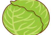 【画像】茨城のキャベツ安くてワロタｗｗｗｗｗｗｗｗｗｗｗ