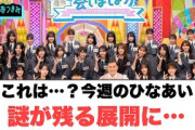 これは？？今週のひなあい　謎が残る展開に…[日向坂46]