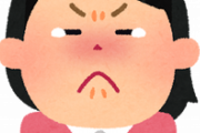 【衝撃】コトメ子と近所のマ〇クに行ったらコトメ子が泣き出した・・・