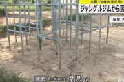 ジャングルジムから落ちた思い出。小学女児(6)死亡。