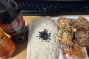 夕飯に唐揚げ弁当を買ってきたにゃ（※画像あり）
